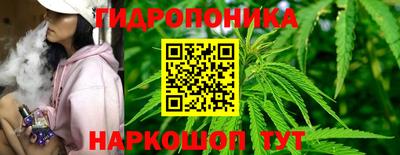 прущие крисы Краснознаменск