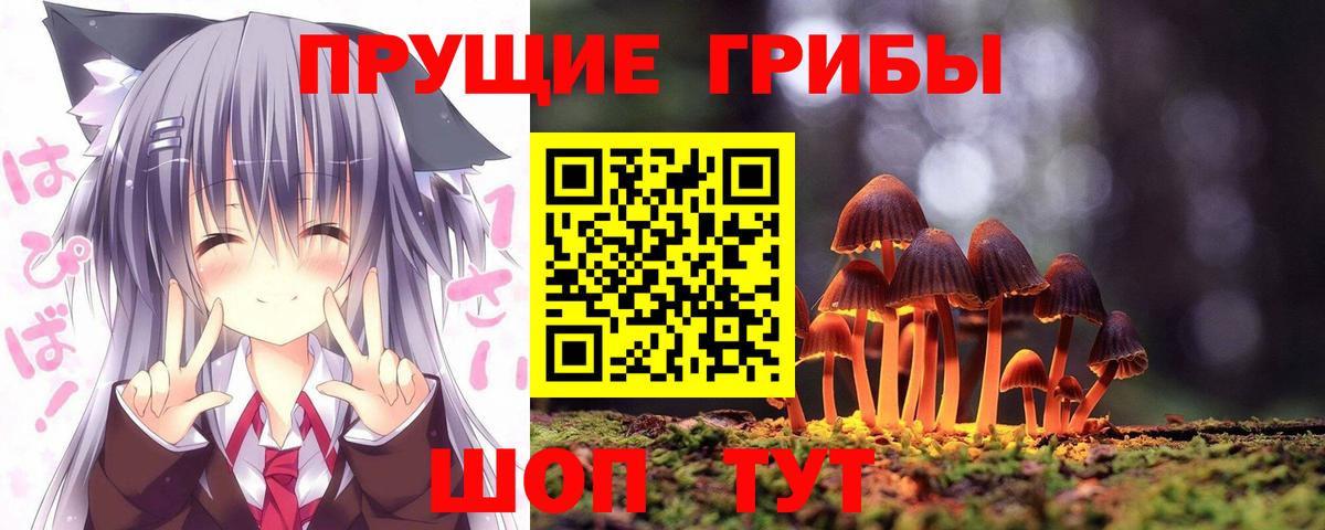 Псилоцибиновые грибы прущие грибы  Вход с VPN  Псилоцибиновые грибы GOLDEN TEACHER  Советская Гавань 